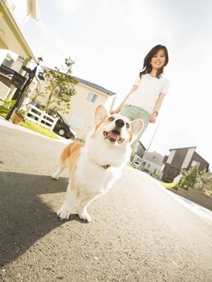 京都市左京区にある動物病院について