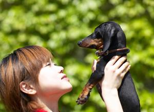 ウエストハイランドホワイトテリアを飼う